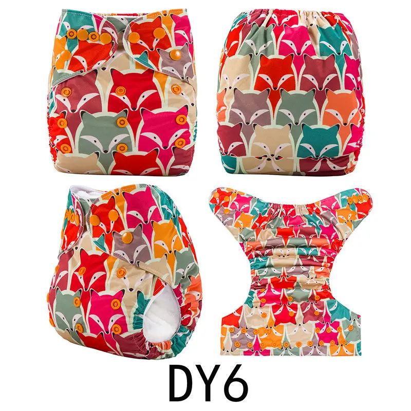 DY6