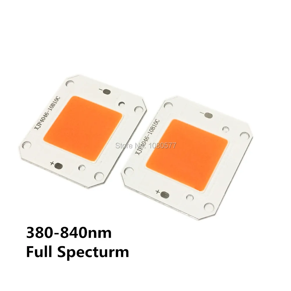 1 10 шт. DC12V 32V 50W COB светодиодный чип белый теплый полный спектр белого