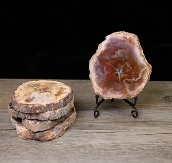 

1PCS The original stone section of natural tree fossils