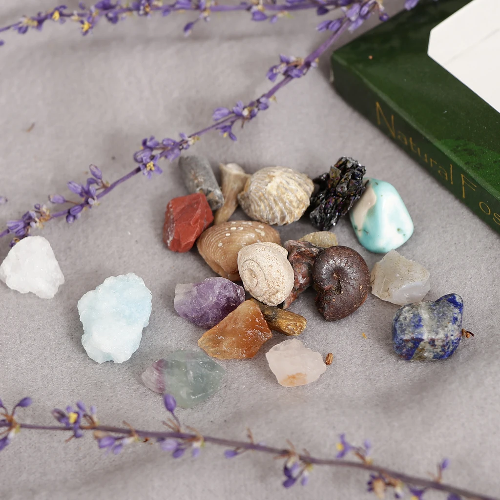 Rock & Mineral Collection GN201 Geology Science Kit Earth Science Toy - Pack Of 20