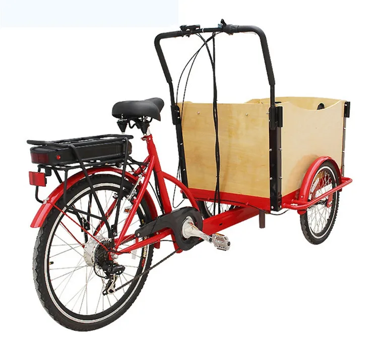 3-wheels-electric-cargo-bike-with-ce (5)_