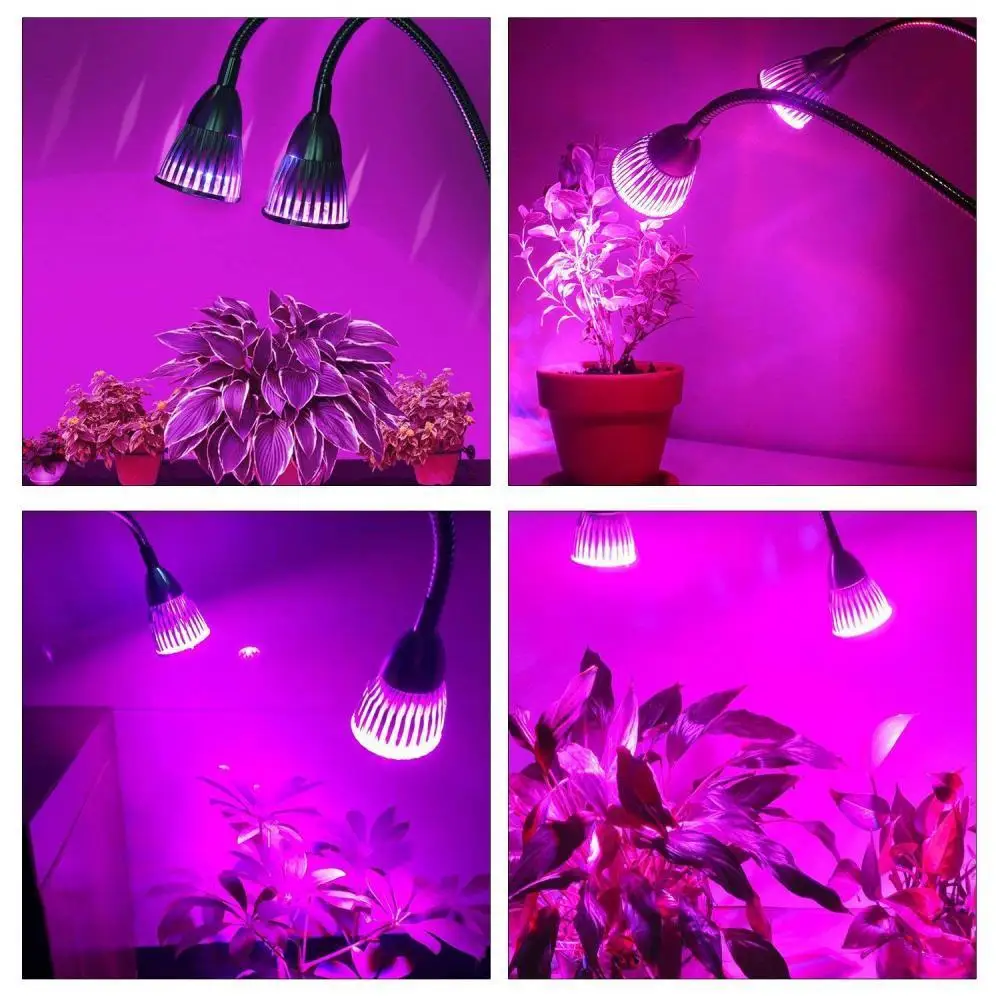 KHLITEC-Dual-Head-Led-Plant-Grow-Light-Bulb-Lamp-Desk-Clip-Holder-Set-For-Flower-Vegetable-Indoor-Seeds-Growing-greenhouse-hydroponics(5)