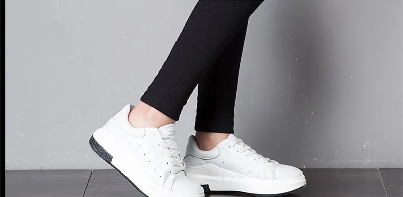 5111653530_144585330_