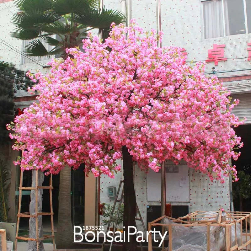 Big Sale!10 Pieces/pack Red Japanese cherry blossoms Seeds Courtyard