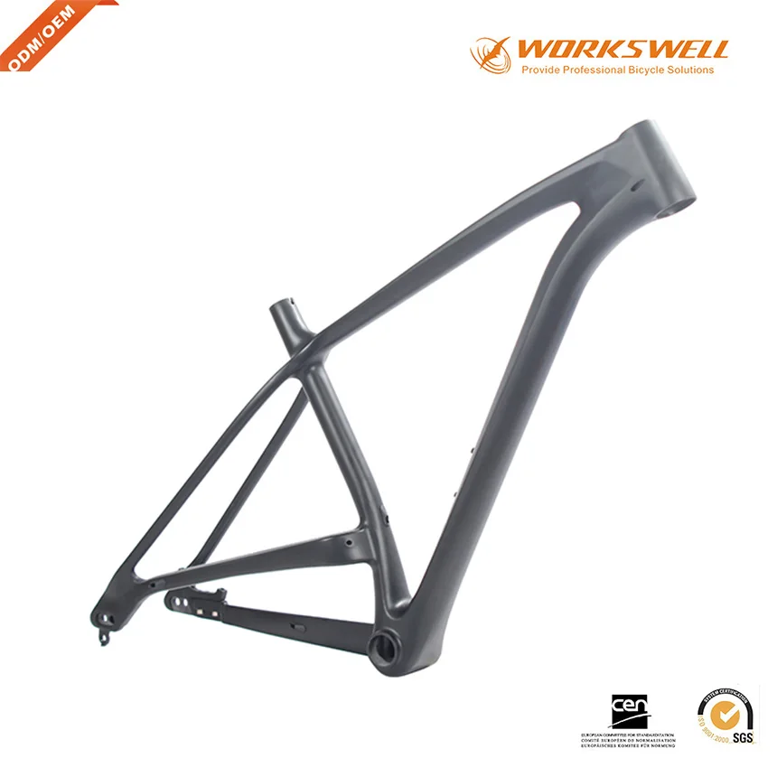 hardtail mtb carbon frame