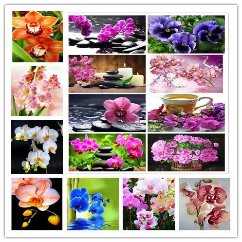 5D Diy Diamond Painting Orchid Embroidery Cross Stitch Roses Flower And Stones Full Mosaic Needlework Decor | Дом и сад