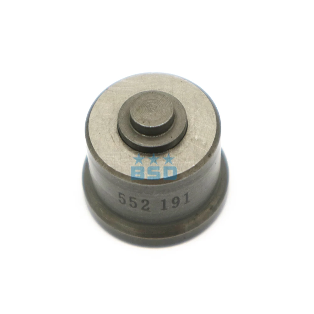 2418552191delivery valve-1