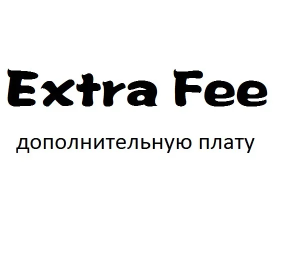

the Extra Fee