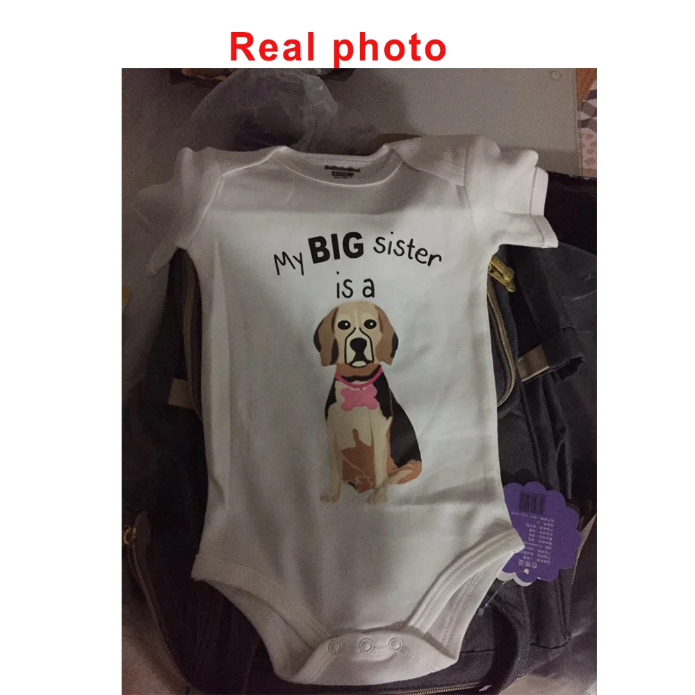 my big sister is a dog real photo