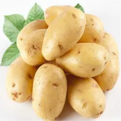 Новый Свежий бонсай 50 шт. картофеля бонсай Питание Зеленый овощи для дома и садовое насаждение картофеля бонсай поглощающие излучения