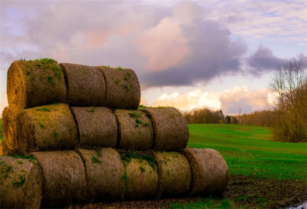 Laeacco Rural Farm Hay Bale Field Photography Backgrounds Customized Photographic Backdrops For Photo Studio | Электроника