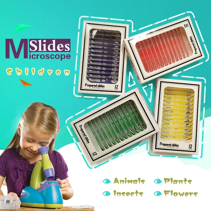 48 PCS Prepared Plastic Microscope Slides Biological Specimen with 4