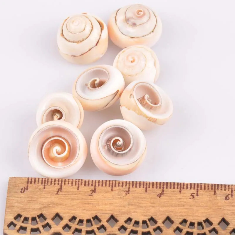 Около 20 мм 10 шт. натуральные спиральные ракушки для скрапбукинга ремесло DIY ручной работы Домашний Морской Декор украшения ракушки TR0220x