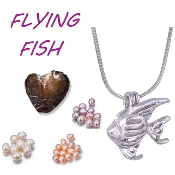 

lying fish pink pearl Set vacuum packed oyster best wish Pearl mix 9 style Cage Pendant Cute Creative Jewelry Gifts Women PO23