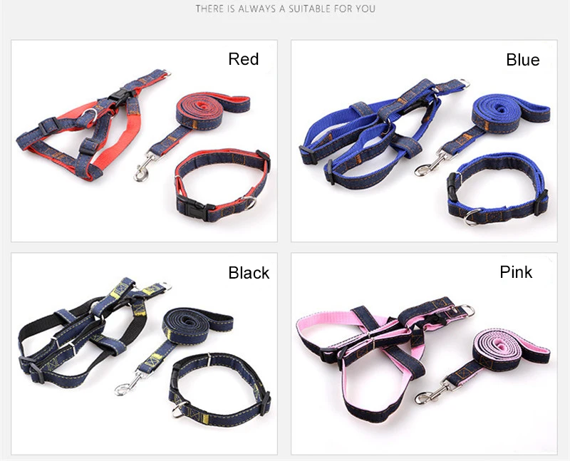 harness leash (9)