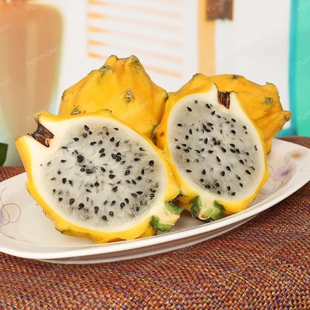 Rare Yellow Pitaya Fruit Trees Bonsai Perennial Plants Non ...