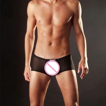 

Hot Sexy Men Mesh Boxer Male Underwear Transparent Lingerie Bulge Pouch Panties See Through Underpants Trunks Male Boxers Shorts
