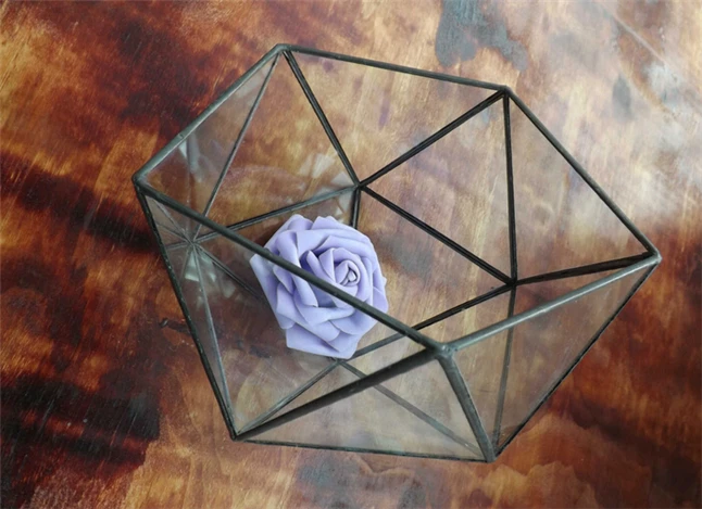 Tabletop Greenhouse5.jpg