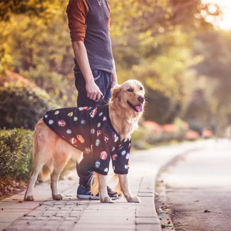 clothes for golden retrievers big large ღ ღ baseball coat jacket ヾ ノ winter winter warm clothes for golden retrievers big large ღ ღ baseball coat jacket ヾ ノ winter winter warm
