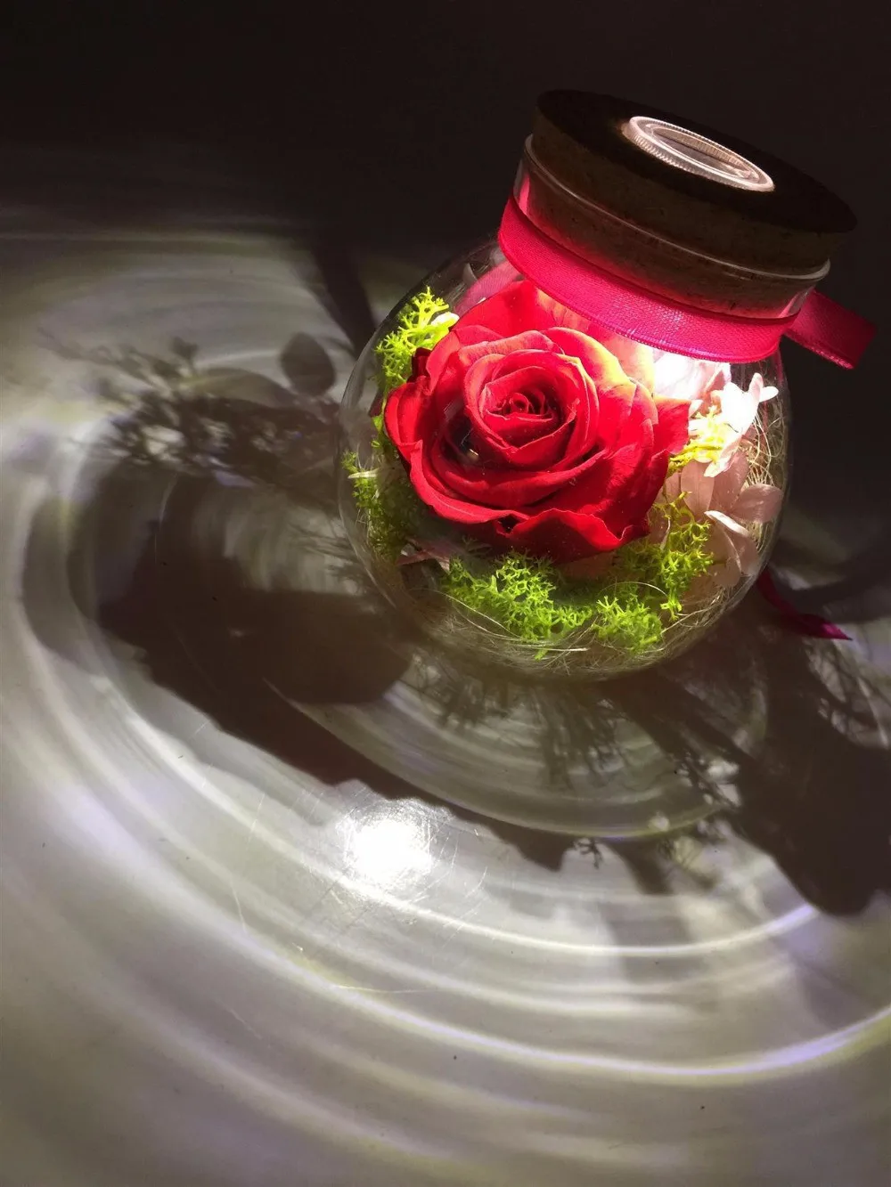 New-Micro-Landscape-Jar-Can-Bring-Multi-function-LED-Light-Moss-Ecological-Bottle-Ecological-Bottle-Wedding (2)