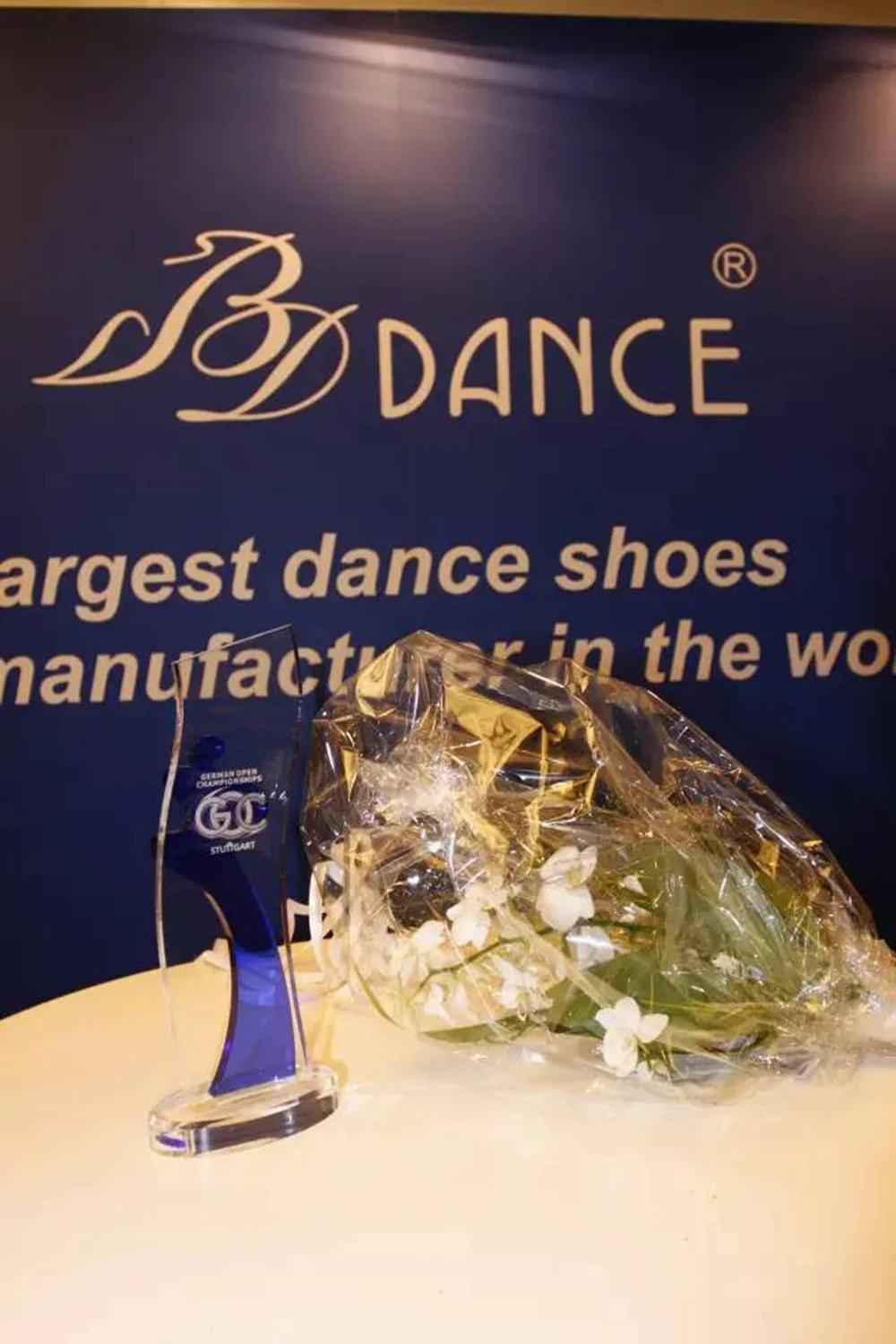 BD кроссовки танцевальная обувь женская бальная обувь для латинских танцев коричневая Высококачественная женская Танцевальная износостойкая подошва BD 216 AWL Каблук 8,5 см