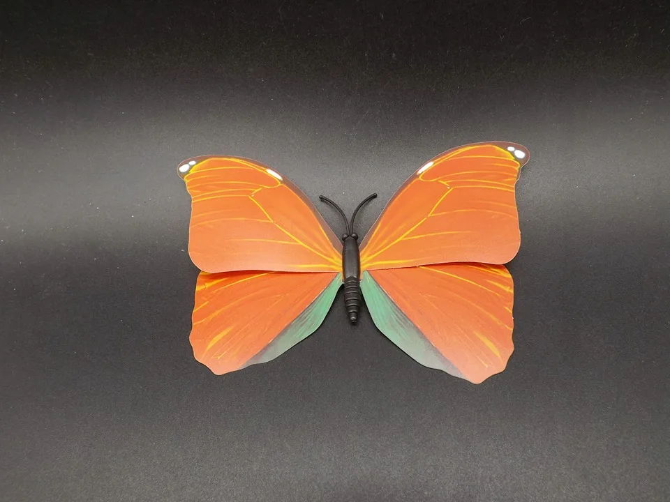 I226-Butterfly (7)