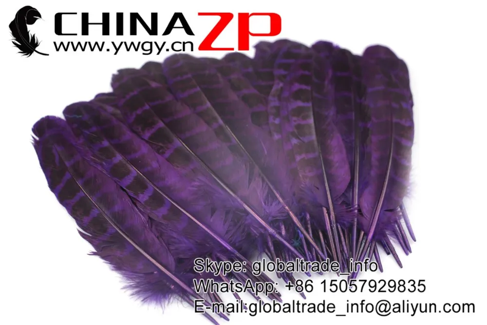 Purple Ringneck Hen Pheasant Round Quill Wing Feathers (3)