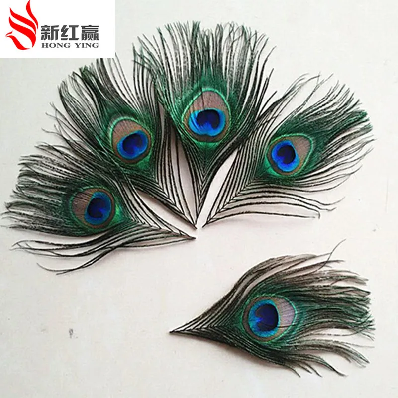 20 pcs Artificiel paon plumes avec yeux T1