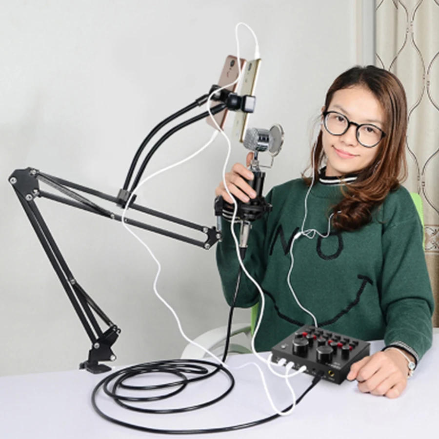 BM-800 Professional Condenser Karaoke Microphone