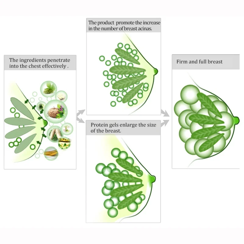 Травяной увеличитель груди крем для увеличения груди эффективный полный эластичность увеличение стянутости большой бюст крем для тела уход за грудью W1