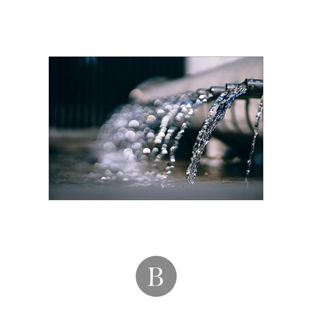 HD Photography Oil Painting Black And White On Canvas Posters And