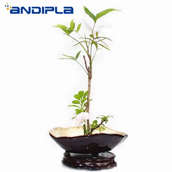 

Vintage Coarse Pottery Flower Pot Desktop Vase Japanese Style Flower Arrangement Zen Ikebana Hydroponic Basin Ceramic Containers