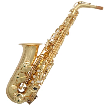 

Imitating Gold Surface Alto Saxophone (AAS-230)