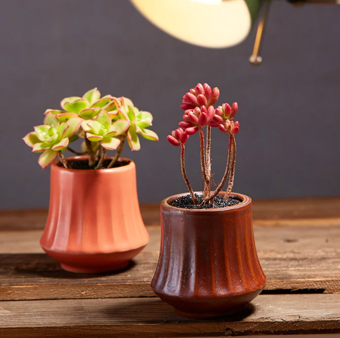 

Hot Selling Exquisite Succulent Cactus Planter Flower Pot Holders Garden Design Bonsai Pots For Desktop Decoration As GiftLFB627