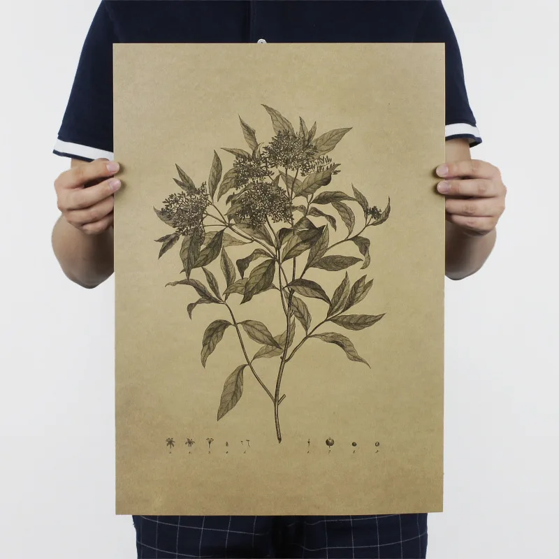 

Herbs / leaf vein pattern / Botany / plant /kraft paper/bar poster/Retro Poster/decorative painting 51x35.5cm