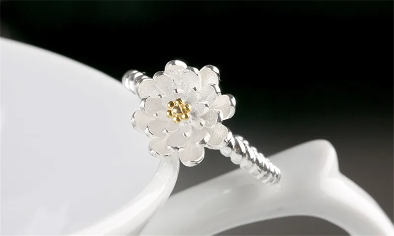 2525813091_248682925_