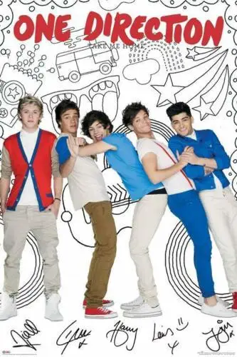 ONE DIRECTION 1D TAKE ME HOME Шелковый плакат декоративной живописи 24X36INCH | Дом и сад