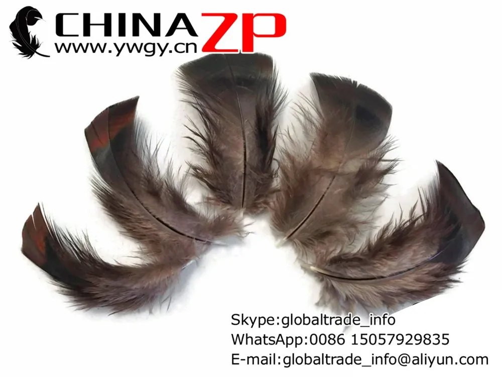 Wild Feathers, 1 Pack - Black Bronze Wild Turkey T-Base Plumage Feathers 0.20 oz2