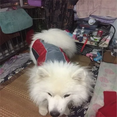 4030