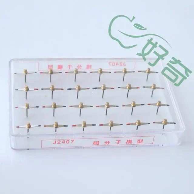 molecular model physics experiments junior high school physics