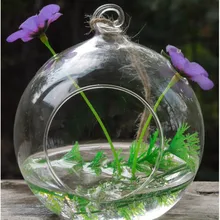 Стеклянная террариумная ваза разного диаметра стеклянный глобус с одним открытым и 2 маленькими отверстиями стеклянный Декор для дома ваза