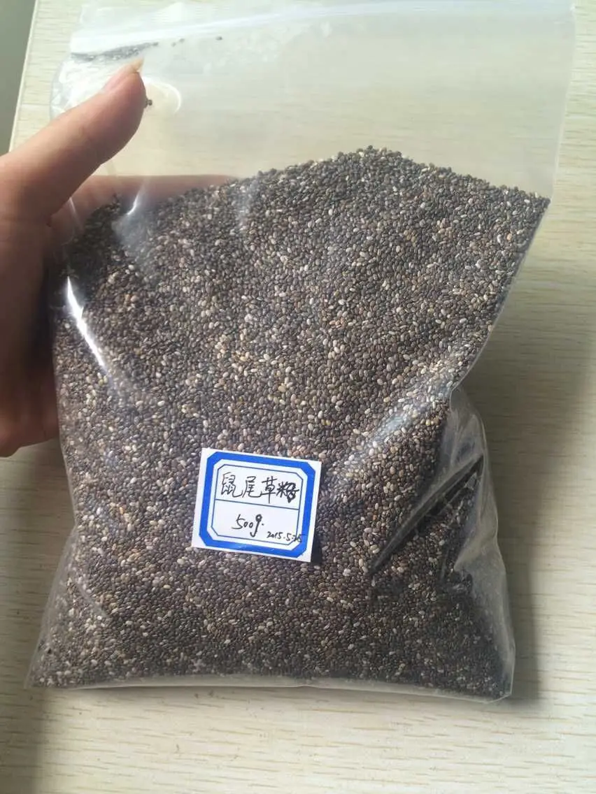 Organic Chia Seeds/Chia Seed Extract Powder |