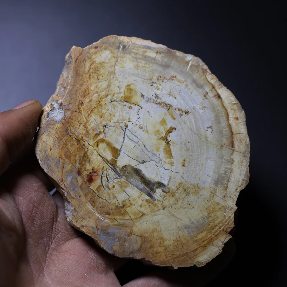 Прекрасные Образцы минералов натурального дерева fossil хрустальные образцы рок