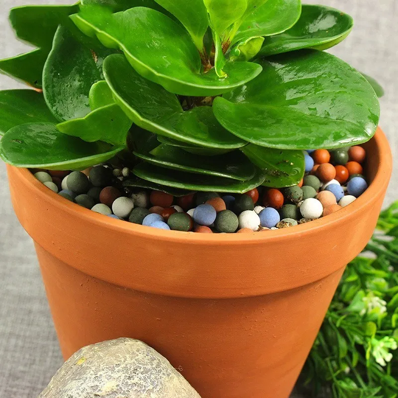 Анион Land Water Culture Botany окрашенная керамика разноцветные горшки для мясника