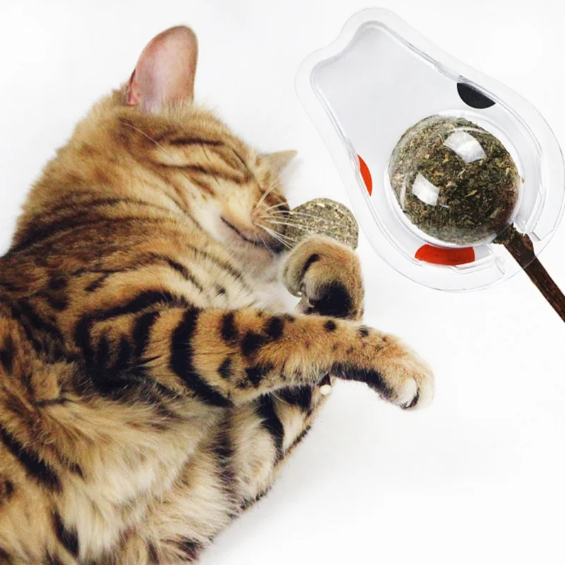 Pet Cat Teeth Cleaning Treats Catnip Lollipop Catnip Chewing Toy with