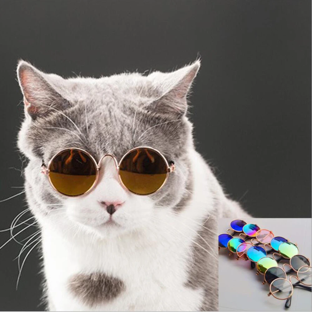 PET022.4