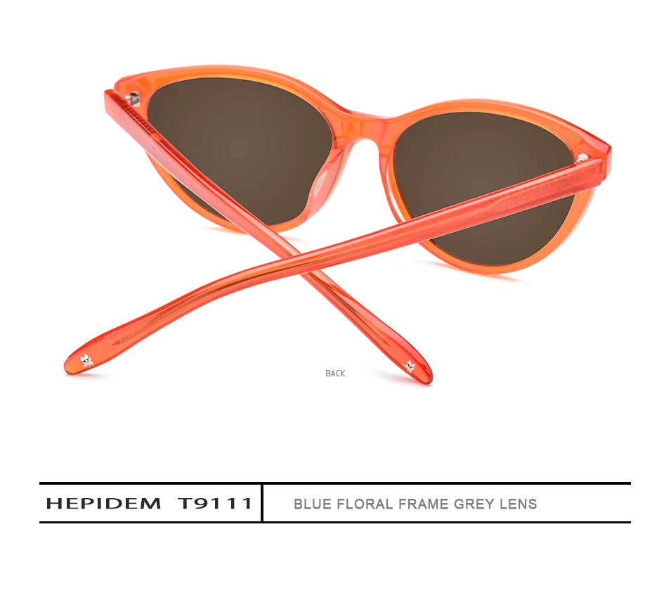 HEPIDEM-9111_07