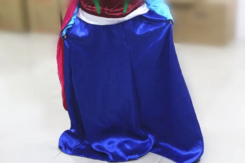 Костюм Персонажа Анны для взрослых; карнавальный костюм принцессы Анны из мультфильма; костюм талисмана с длинными рукавами; праздничное платье; Плюшевые игрушки высокого качества