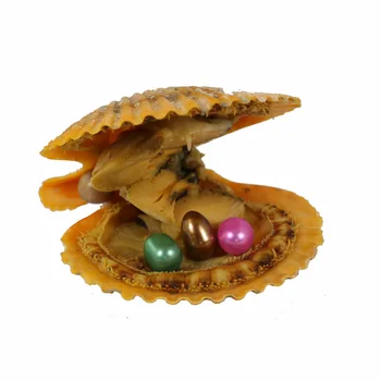 

6-7mm Triplets Rice Pearl In Akoya Red Orange Oyster Materials For Dyeing Jewelry As Mystery Surprise Gift Free Shipping RO033