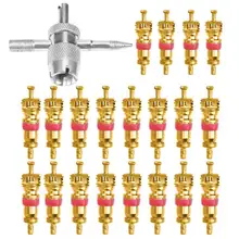 20 teile/satz Mit 4-in-1 Auto Reifen Reparatur Werkzeuge Kit Auto Klimaanlage Ventil Kerne Auto Lkw motorrad Reifen Reifen Ventil Stem Neue